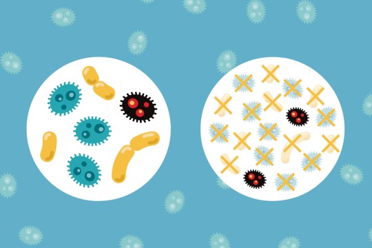 Consumer Reports Superbugs