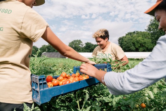 2018 SXSW Community Service Awards Honoree - Urban Roots