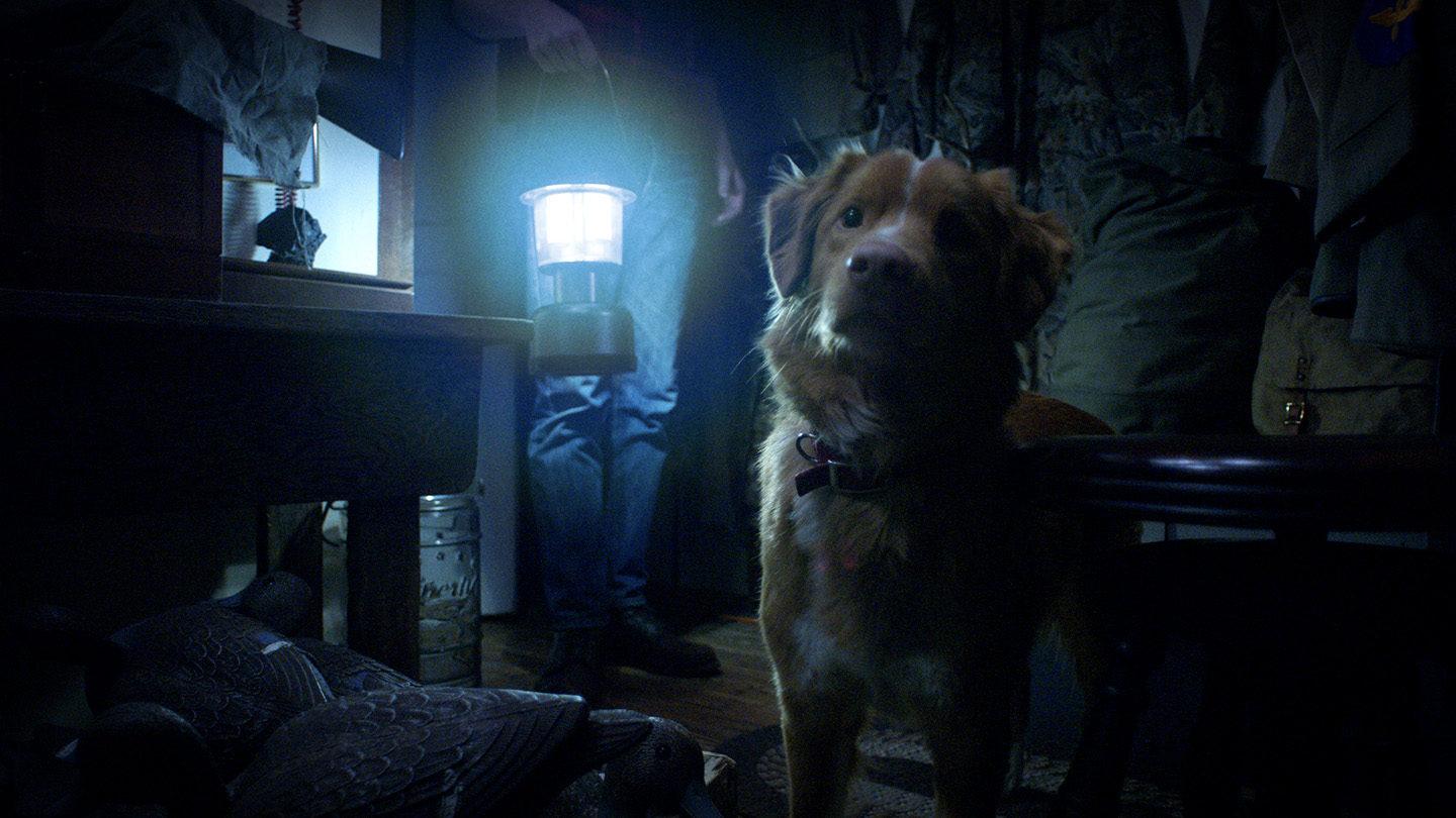 Good Boy – Midnighter – 2025 SXSW Film & TV Festival